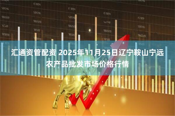 汇通资管配资 2025年11月25日辽宁鞍山宁远农产品批发市场价格行情