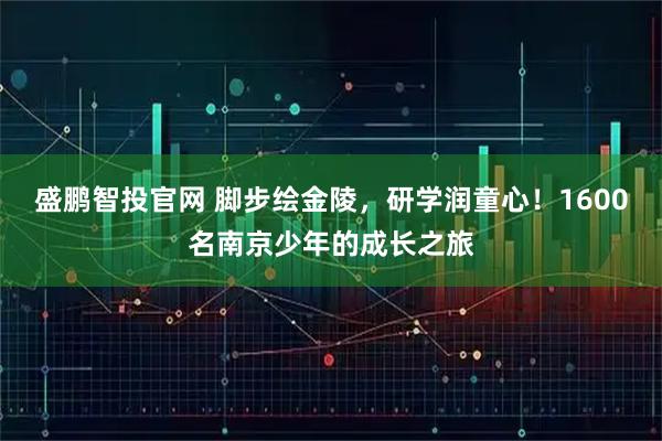 盛鹏智投官网 脚步绘金陵，研学润童心！1600名南京少年的成长之旅