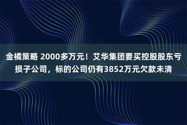 金橘策略 2000多万元!艾华集团要买控股股东亏损子公司,标的公司仍有3852万元欠款未清