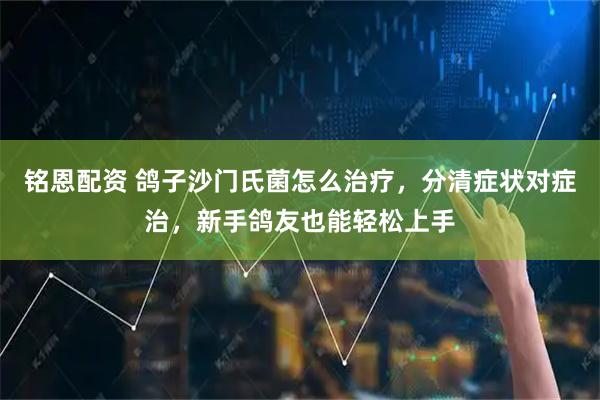 铭恩配资 鸽子沙门氏菌怎么治疗，分清症状对症治，新手鸽友也能轻松上手