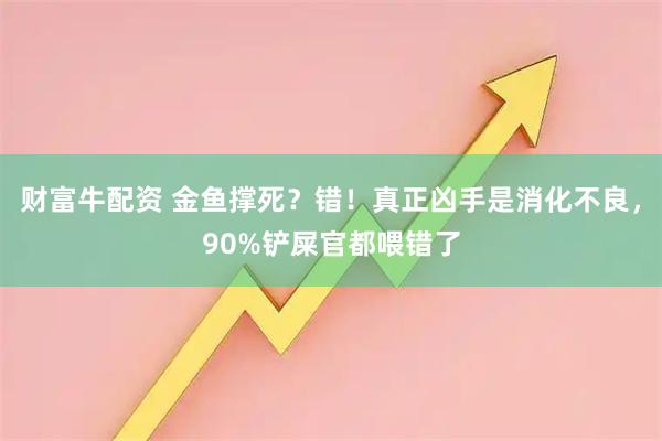 财富牛配资 金鱼撑死？错！真正凶手是消化不良，90%铲屎官都喂错了