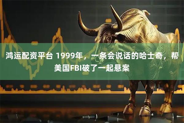 鸿运配资平台 1999年，一条会说话的哈士奇，帮美国FBI破了一起悬案