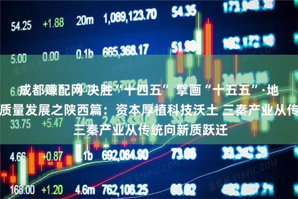 成都赚配网 决胜“十四五” 擘画“十五五”·地方资本市场高质量发展之陕西篇：资本厚植科技沃土 三秦产业从传统向新质跃迁